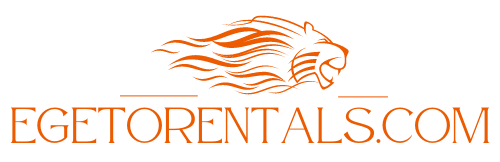 Orange Lion Art & Design Logo (1) (1)